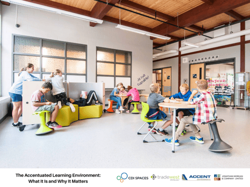 The Accentuated Learning Environment: What It Is and Why It Matters