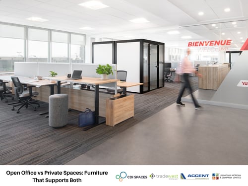 Open Office vs Private Spaces: Furniture That Supports Both