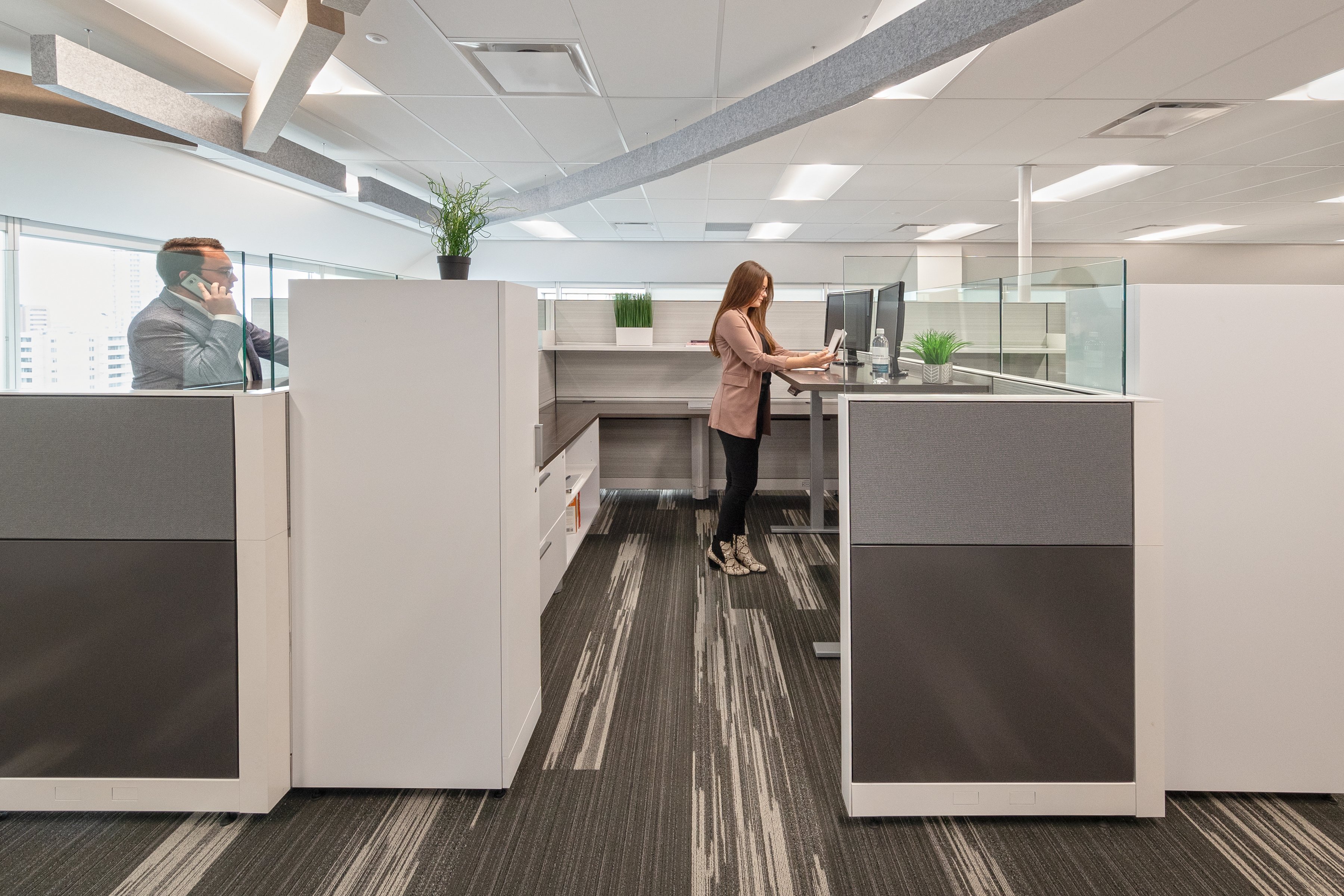 Forestry - sitting desks vs standing desk