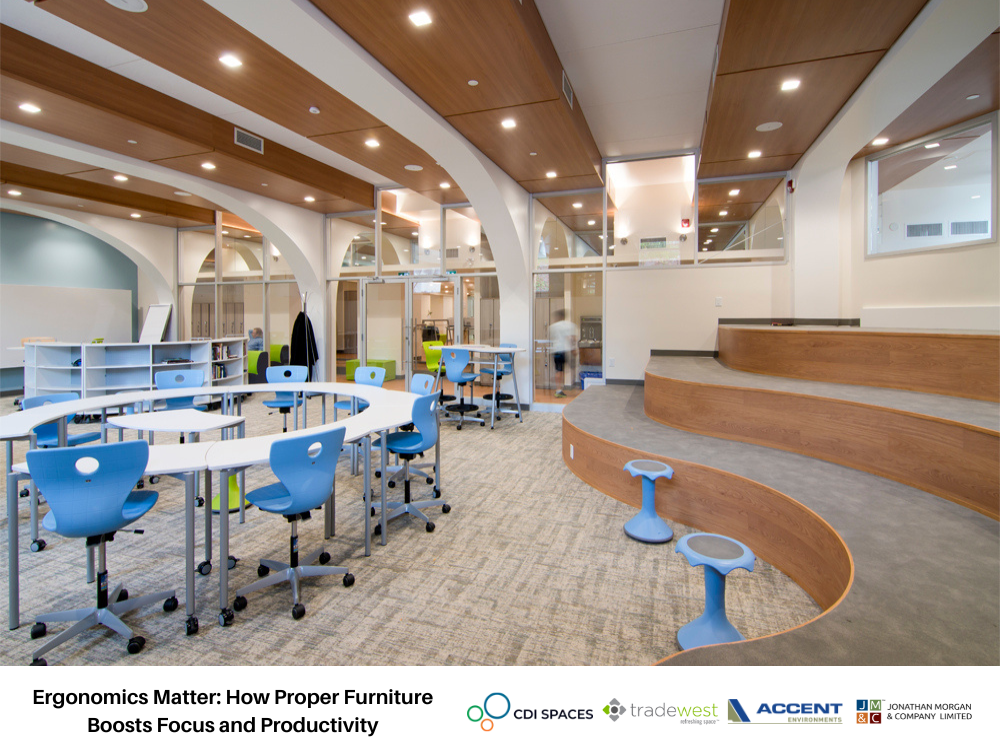 Ergonomics Matter: How Proper Furniture Boosts Focus and Productivity