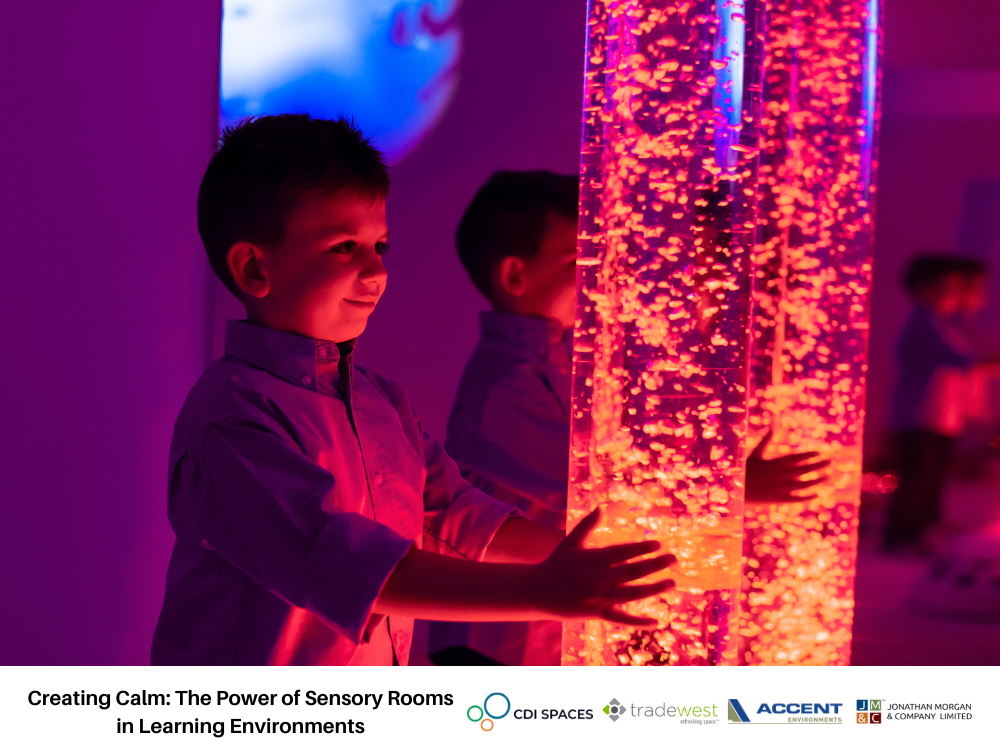 Creating Calm: The Power of Sensory Rooms in Learning Environments